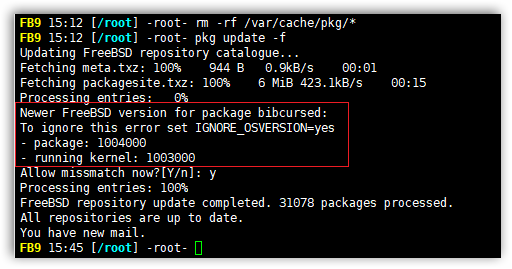 FreeBSD pkg update