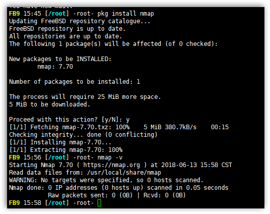 FreeBSD pkg install nmap