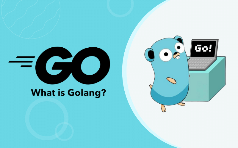golang-dev.png