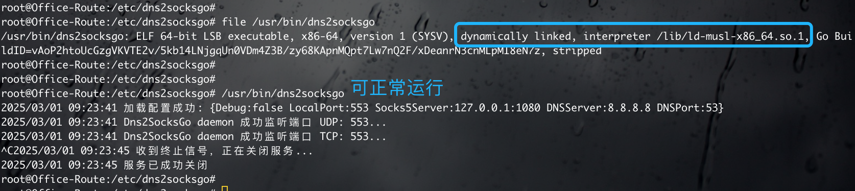 Linked-musl-libc-running.png